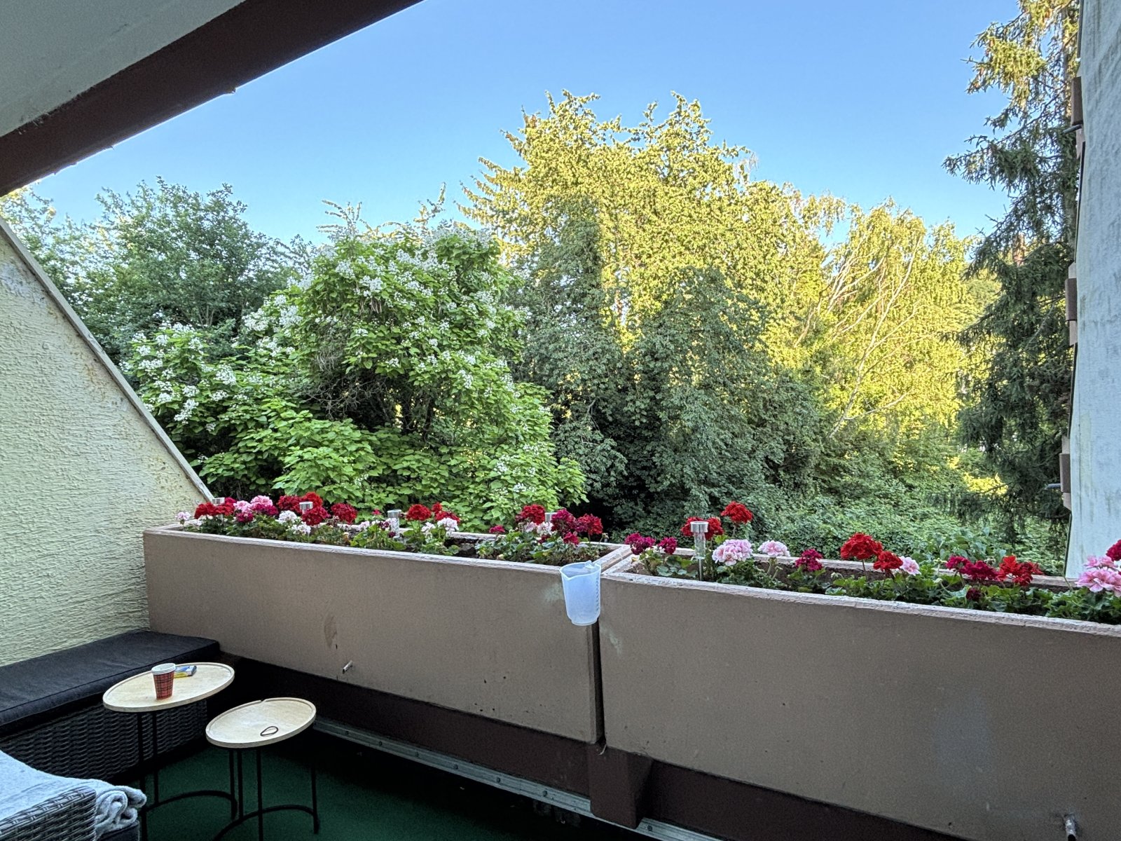 Blick vom Balkon ins Grüne Blick vom Balkon ins Grüne