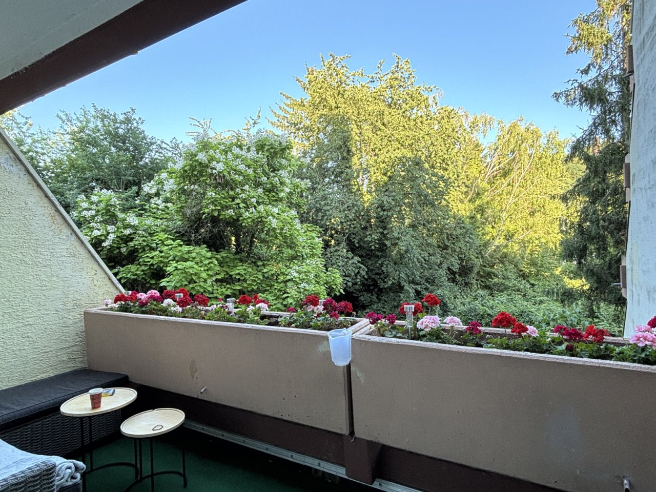 Blick vom Balkon ins Grüne Blick vom Balkon ins Grüne